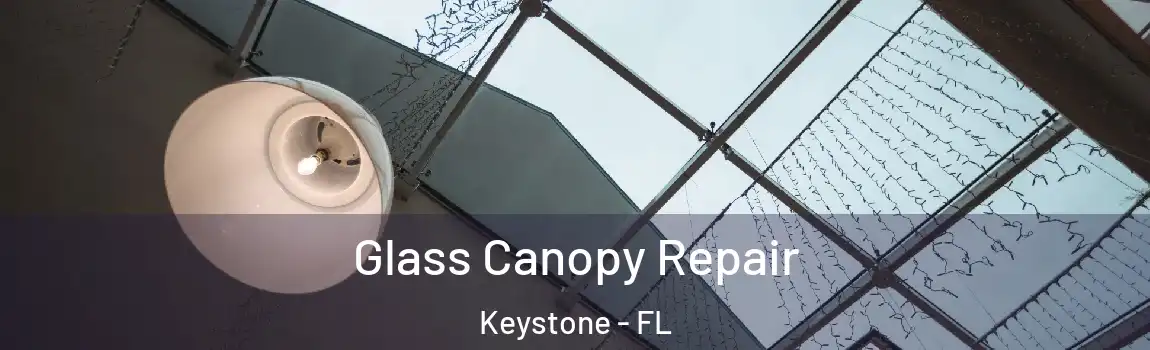Glass Canopy Repair Keystone - FL