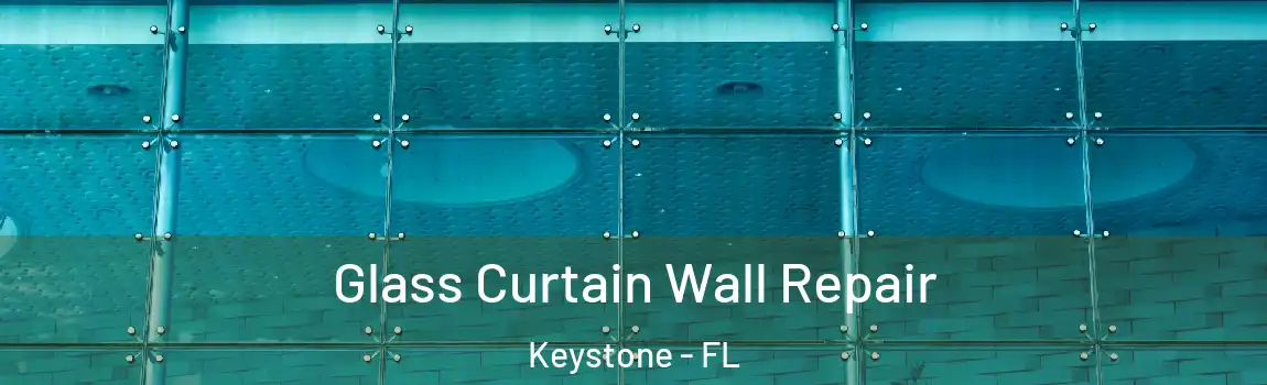  Glass Curtain Wall Repair Keystone - FL