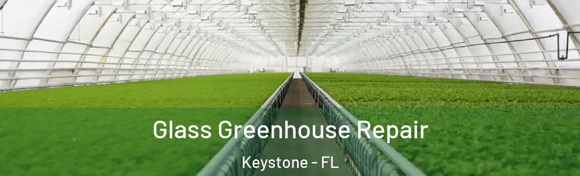  Glass Greenhouse Repair Keystone - FL